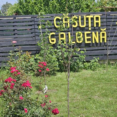 Casuta Galbena Villa Eforie Nord Luaran gambar